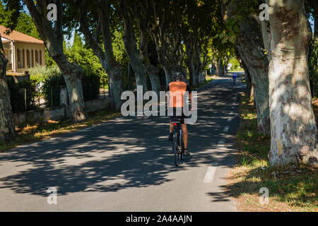 Radfahrer, reiten ein Baum Allee in Fontvieille, Provence, Frankreich. Stockfoto