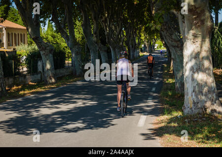 Radfahrer, reiten ein Baum Allee in Fontvieille, Provence, Frankreich. Stockfoto