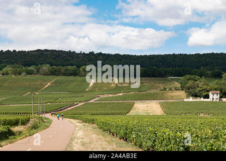 Radfahren Paar auf der Côte de Beaune, Burgund, Frankreich. Stockfoto