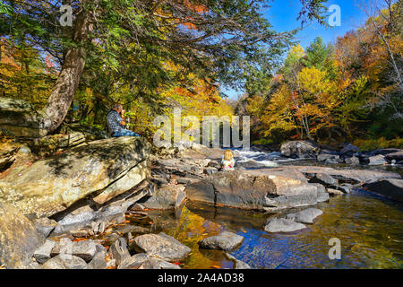 Oxtongue Rapids in der Nähe im Herbst bei Algonquin Provincial Park in der Nähe von Huntsville in Ontario, Kanada Stockfoto