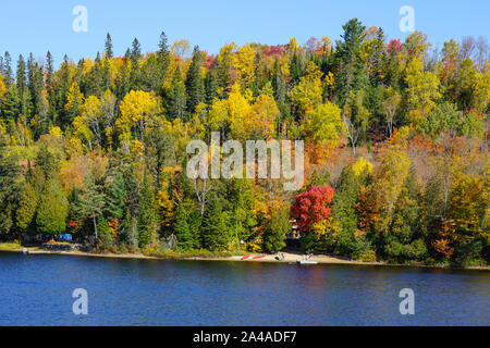 Oxtongue Lake mit Cottage und Anzeigen des Algonquin Provincial Park in der Nähe von Huntsville in Ontario, Kanada Stockfoto