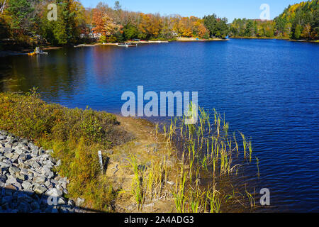 Oxtongue Lake mit Cottage und Anzeigen des Algonquin Provincial Park in der Nähe von Huntsville in Ontario, Kanada Stockfoto