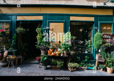 Fassade des Flower Shop mit verschiedenen Arten von Pflanzen auf dem Display. Stockfoto