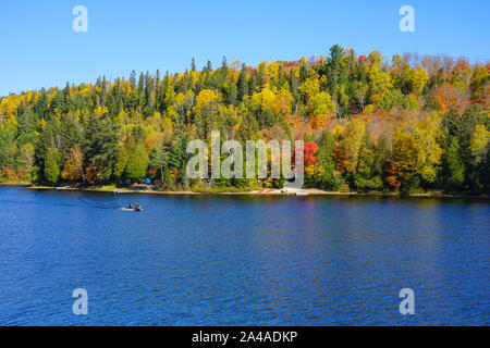 Oxtongue Lake mit Cottage und Anzeigen des Algonquin Provincial Park in der Nähe von Huntsville in Ontario, Kanada Stockfoto