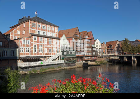 Frame Häuser, am Stintmarkt, Altstadt, Lüneburg, Niedersachsen, Deutschland Stockfoto