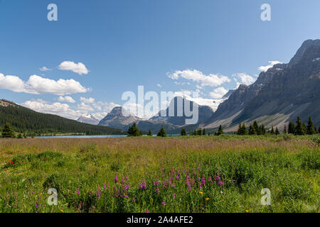 Bow Lake mit Wassermelone Peak und Marmot Mountain im Hintergrund, Kanada Stockfoto