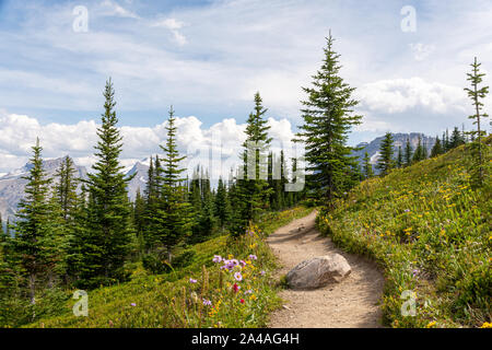 Helen Lake Trail und Andromache Peak im Hintergrund, Kanada Stockfoto