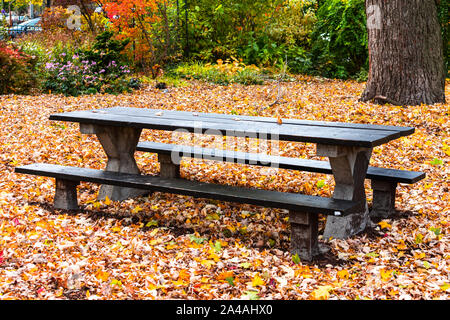 Schwarzes Picknick Tisch in einem Park im Herbst durch Laub umgeben Stockfoto