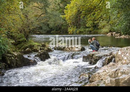 Mann auf dem felsigen Ufern des Pont-y-Paar fällt auf die Afon Llugwy, Betws-y-Coed, Wales, Großbritannien Stockfoto