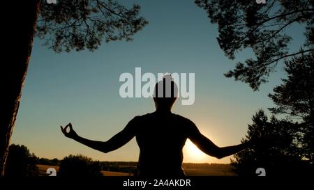 Sportliche Frau Yoga im Park bei Sonnenuntergang