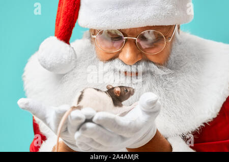 Authentische Santa Claus in traditioneller Tracht, eyegasses und weiße Handschuhe in der niedliche kleine weiße Maus in seinen Händen liegen. Älterer Mann spielt mit Symbol von 2020 für das neue Jahr. Stockfoto