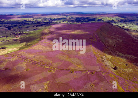 Luftaufnahme von August Heather im Fryupdale in die North York Moors National Park Stockfoto