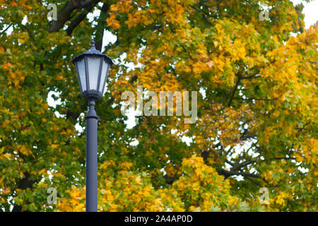 Old style Metall Laterne Schuß gegen defokussierten Baumkrone mit gelben Blätter im Herbst Stockfoto