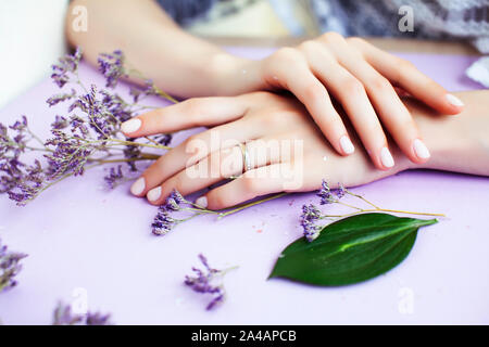 Ziemlich perfekt Frau Hände mit weißen Maniküre und kleine Blumen auf bunten lila Hintergrund, green leaf spa-Konzept Stockfoto