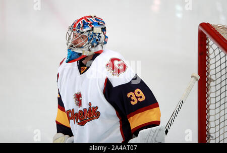 Guildford Phoenix Torwart Petr Cech trägt einen Helm mit einem Chelsea Emblem während der NIHL 2 Spiel in Guildford Spectrum Leisure Complex, Guildford. Stockfoto