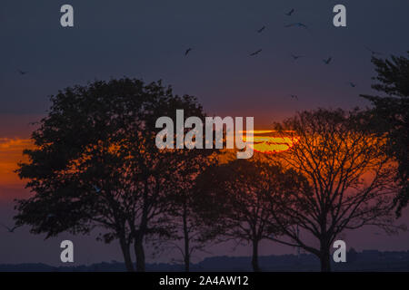 La Baie de Somme, Kayak et Voiliers, Ciel nuageux, mer Calme, Lever de soleil, Aube Stockfoto