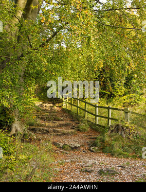 Weg am hohen Tor in Matlock Derbyshire - Herbst Stockfoto