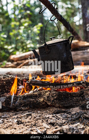 Ein kleiner Wasserkocher mit Wasser ist auf einem Feuer erhitzt, in einem Wald, auf einer sonnigen Tag im Sommer. Close-up. Stockfoto