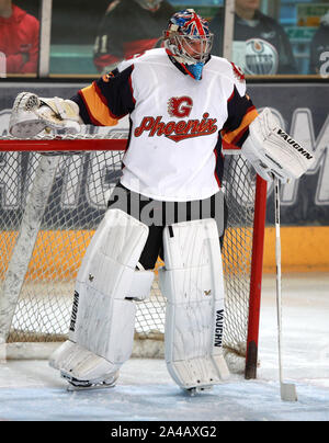 Guildford Phoenix Torwart Petr Cech in Aktion während der NIHL 2 Spiel in Guildford Spectrum Leisure Complex, Guildford. Stockfoto