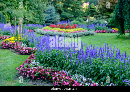 Blumenbeete im Jardin Le Coq (Jardin des Plantes de Clermont-Ferrand) in Clermont-Ferrand) Frankreich Stockfoto