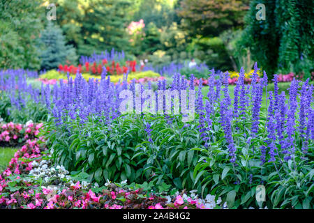 Blumenbeete im Jardin Le Coq (Jardin des Plantes de Clermont-Ferrand) in Clermont-Ferrand) Frankreich Stockfoto