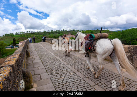 Pferd Reiter Pilger nach Santiago, die die Römische Brücke über den Arga in Puente la Reina, Navarra, Spanien Stockfoto