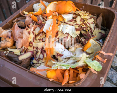 Bio Abfälle in das Ausgabefach Stockfoto