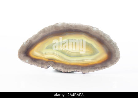 Polierte Scheibe Achat Mineral aus Brasilien mit mehreren Farben auf weißem Hintergrund Stockfoto