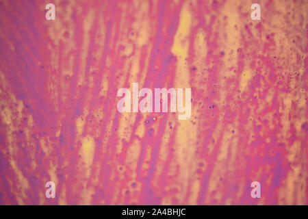 Wand Oberfläche lackiert in verschiedenen Farben als abstrakt hintergrund Textur Stockfoto