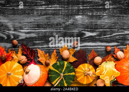 Festliche Herbst Komposition mit Kürbisse, Nüsse und Blätter auf schwarz Holz- Hintergrund. Thanksgiving oder Halloween Konzept. Flach. Ansicht von oben mit c Stockfoto