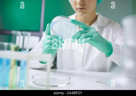 Nahaufnahme des unkenntlich Wissenschaftlerin holding Petrischale während auf Forschung im Labor arbeiten, kopieren Raum Stockfoto