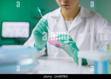 Nahaufnahme von junge Frau mit petrischale während der Arbeit in der medizinischen Forschung im Labor, in der Kopie Raum Stockfoto