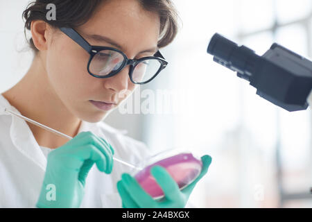 Porträt der schöne junge Frau im Labor arbeiten, die Vorbereitung von Proben in der Petrischale für Mikroskop Forschung, Kopie Raum Stockfoto