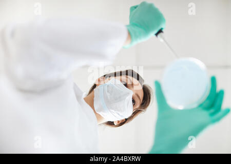 Direkt unterhalb der junge Frau mit Petrischale mit Proben in der medizinischen Forschung im Labor, in der Kopie Raum Stockfoto