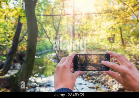 Menschliche Hände halten ein Smartphone und der Aufnahme der schönen Herbst Park. Gemeinsame Nutzung von mobilen Fotos bei sozialen Netzwerken Stockfoto