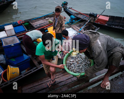 SITTWE, MYANMAR - ca. Dezember 2017: Fischer in Sittwe in der Nähe des Central Market, die den Fang des Tages, Myanmar Stockfoto