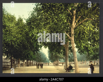 Die Promenade, Montpellier, Frankreich Stockfoto