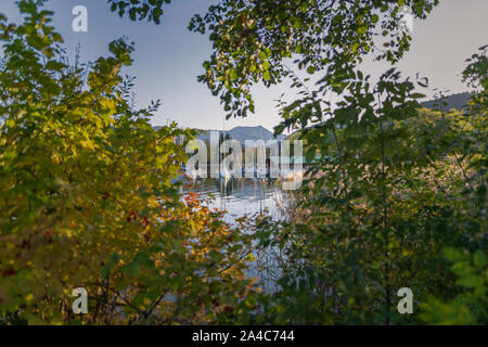 Ein schöner See hinter einigen Herbst gefärbten Bäumen versteckt. Stockfoto