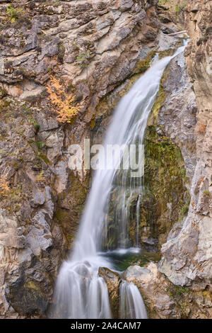 Im Fintry Provincial Park, im Okanagan Valley, das Wasser fällt über die Felsen in einen kleinen Pool dann weiter den Felsen weiter nach unten zu fallen. Stockfoto