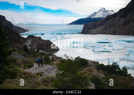 Gletscher Grey, Torres del Paine Nationalpark, Chile. Wanderer mit Blick auf glaicer Feld Stockfoto