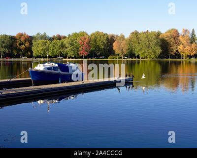 An einem spätsommerabend, Kormorane sammeln auf dem Holzsteg durch eine kleine, blaue geschält Yacht bei Dow's Lake Pavillion, Ottawa, Ontario, Kanada. Stockfoto