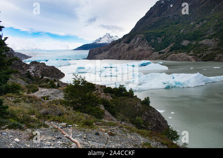 Gletscher Grey, Torres del Paine Nationalpark, Chile. Wanderer mit Blick auf glaicer Feld Stockfoto