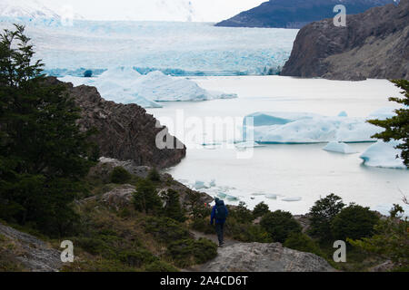 Gletscher Grey, Torres del Paine Nationalpark, Chile. Wanderer mit Blick auf glaicer Feld Stockfoto