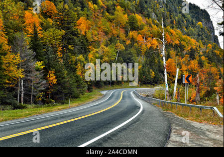 Herbst Laub in den Adirondack Mountains in New York, USA Stockfoto