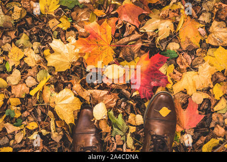 Selfie Bild der Beine in braunem Leder Stiefel auf Laub im Park, Ansicht von oben mit der Kopie. Herbst Konzept, trendigen Lifestyle Stockfoto