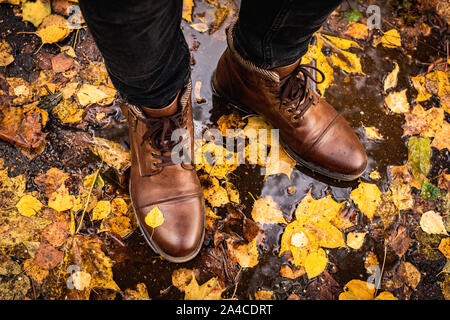 Beine aus braunem Leder Stiefel auf nassen Asfalt mit bunten gefallen Ahorn Blätter um. Konzept der Herbst Herbst Jahreszeit, Herbst Mode, trendy hipster Leben Stockfoto