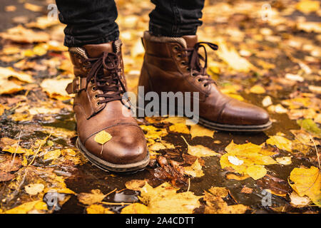 Männliche Füße in Leder Stiefel im Herbst Pfütze stehen mit bunten Ahornblätter rund um. Herbst Jahreszeit Konzept, Herbst Mode Stockfoto