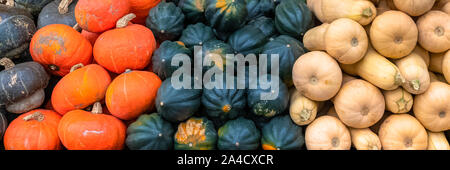 Kürbisse, Butternut und Butterblume auf einem Marktstand in Montreal, Halloween-Party Stockfoto
