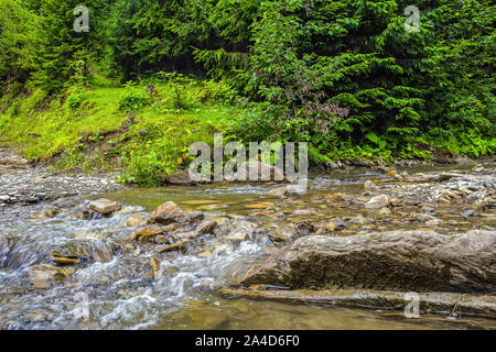 Die Ukraine, die Karpaten. Mountain River, einem Nebenfluss des Schwarzen Pueblo Stockfoto