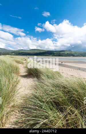 Barmouth oder Abermaw in Gwynedd an der Küste von Nordwales Cardigan Bay Stockfoto